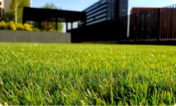 Lawn mowing and garden maintenance